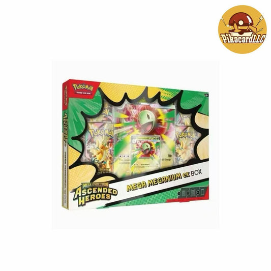 TCG Pokemon Mega Meganium Ex Box English